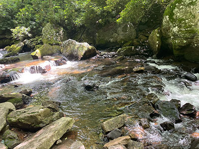 The Cascades 